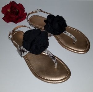 BCBGeneration black white gold thong 8.5
